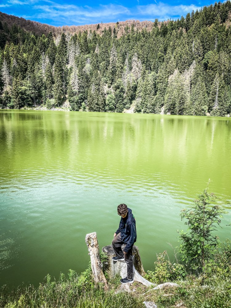 Lac Vert / Crédit photo - Pierrick Aubert