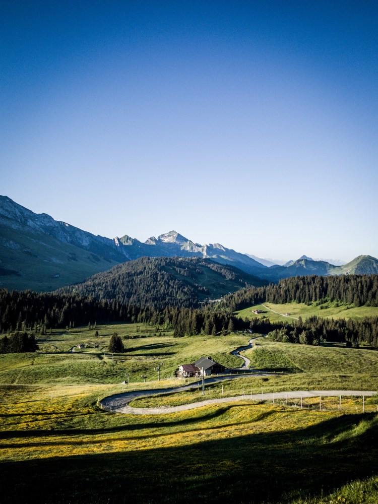 Plateau de Beauregard au matin
