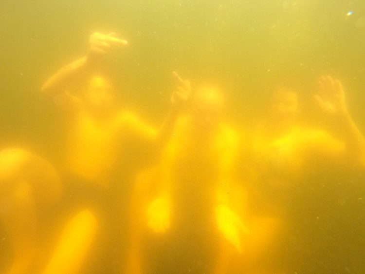Y a pas que des truites dans le lac des Truites / Crédit photo - Pierrick Aubert