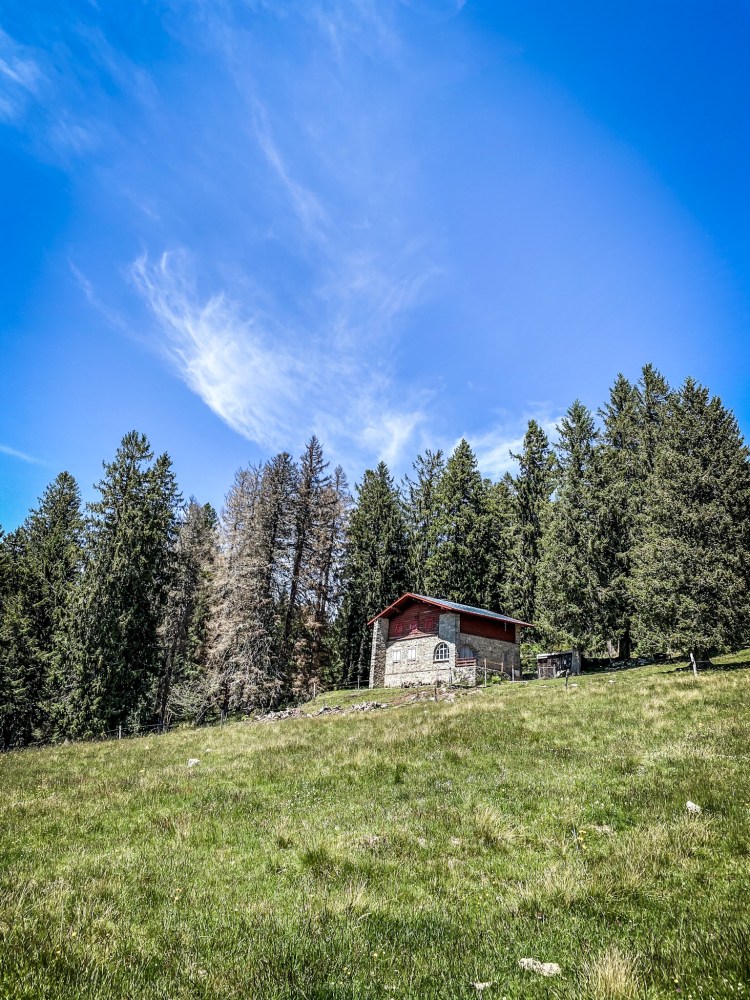Chalet traditionnel à la lisière du bois / Crédit photo - Pierrick Aubert